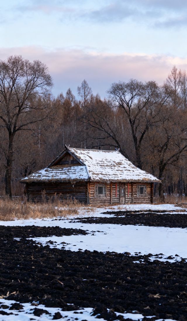 華夏東極封神!11月撫遠攻略:追中國最早日出+雪地觀熊 華夏東極封神!11月撫遠攻略:追中國最早日出+雪地觀熊