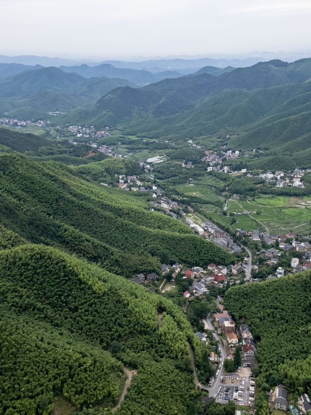 秋遊湖州包車遊簡直不要太爽