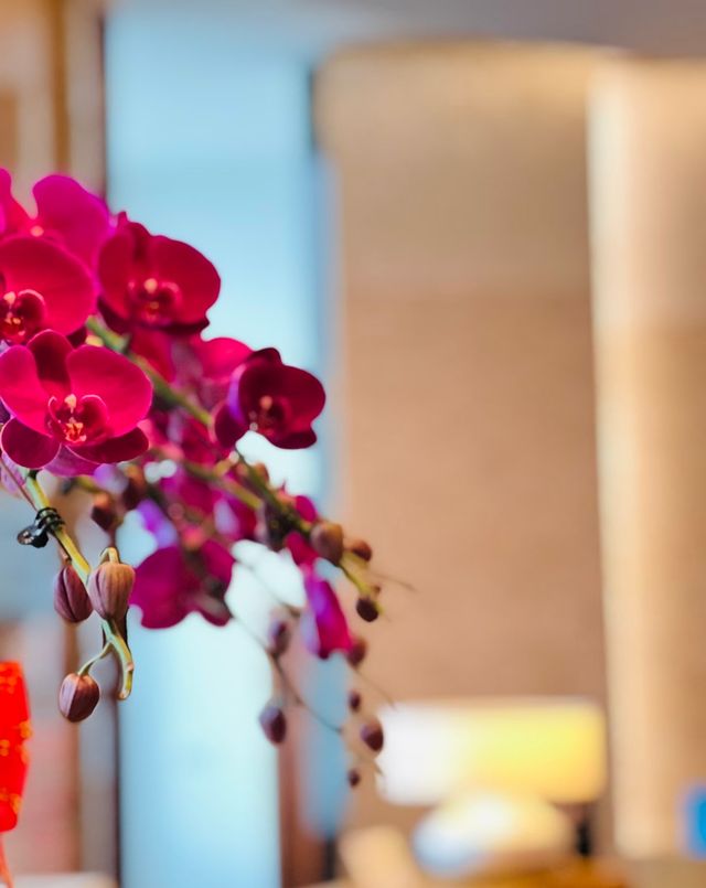 面朝大海揮汗如雨