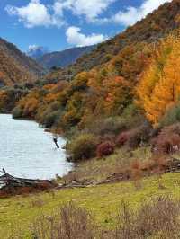 成都向北2h!闖入免費彩林秘境,邂逅川版喀納斯