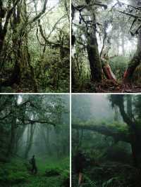 騰衝秋日｜美景+溫泉+野奢=理想假日