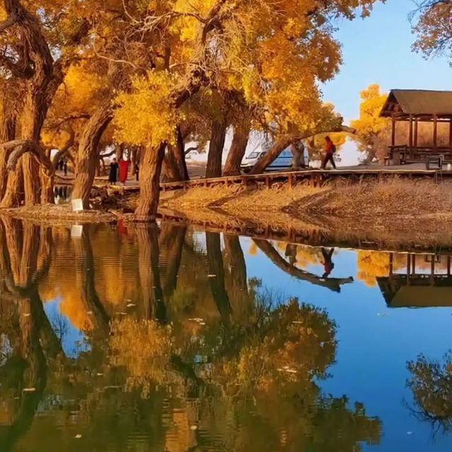 新疆胡楊林公園景區3天2夜5000元旅遊攻略