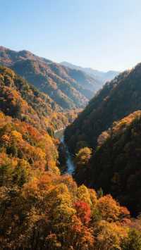 11月的光霧山四天三晚，打卡中國紅葉第一山！