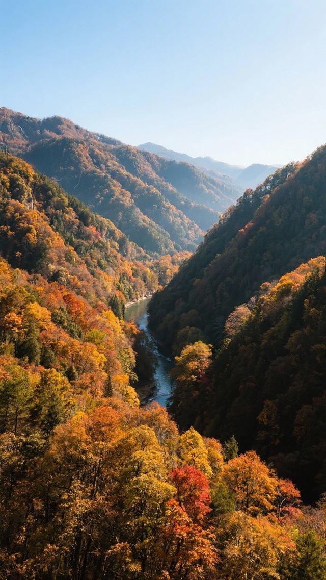 11月的光霧山四天三晚，打卡中國紅葉第一山！