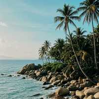 惠州黃金海岸避坑指南