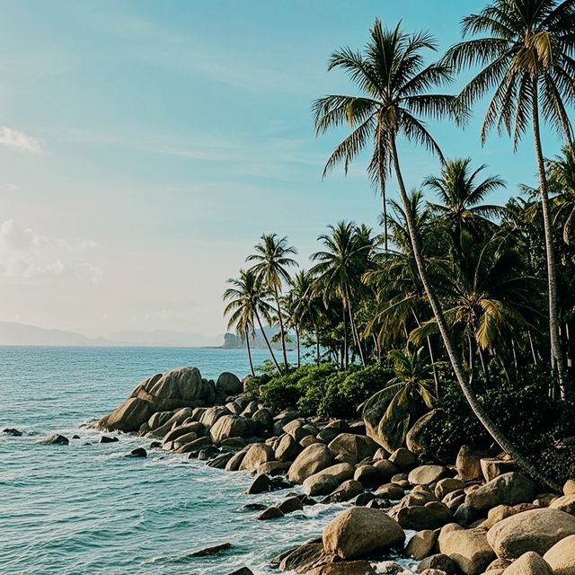 惠州黃金海岸避坑指南