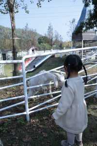 莫干山親子遊必去這個農場娃玩到不肯回家