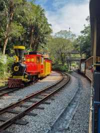 深圳茶溪谷森林小火車|雲海廣場這才是真松弛感