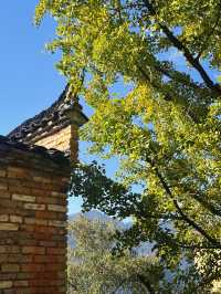 婺源篁嶺曬秋絕絕子手機拍到斷電哭著求饒