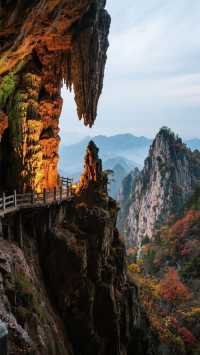 11月老君山四天三晚，旅行攻略！