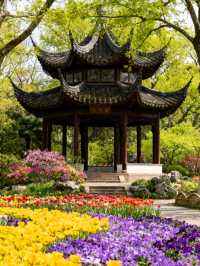 江西廬山：瀑布從雲端跌落山谷，雲霧漫過石階時，一步一景