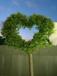 迪士尼旁的寶藏酒店私湯+接駁車