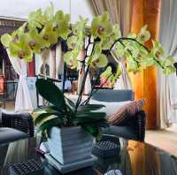 禪風度假村：放鬆心靈的絕佳之選 ： 禪宗精緻度假村 177 Moo 1 Bophut Be