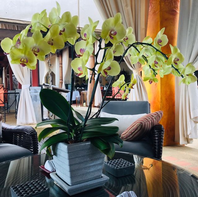 禪風度假村：放鬆心靈的絕佳之選 ： 禪宗精緻度假村 177 Moo 1 Bophut Be