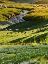 天境祁連青甘邊界上的生態秘境
