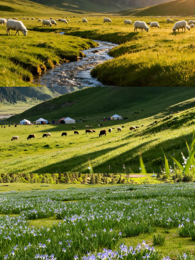 天境祁連青甘邊界上的生態秘境 天境祁連青甘邊界上的生態秘境