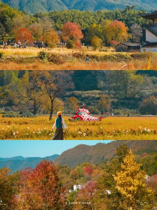Countdown to autumn colors in Southern Anhui, luckily I didn't miss it, it's stunningly beautiful