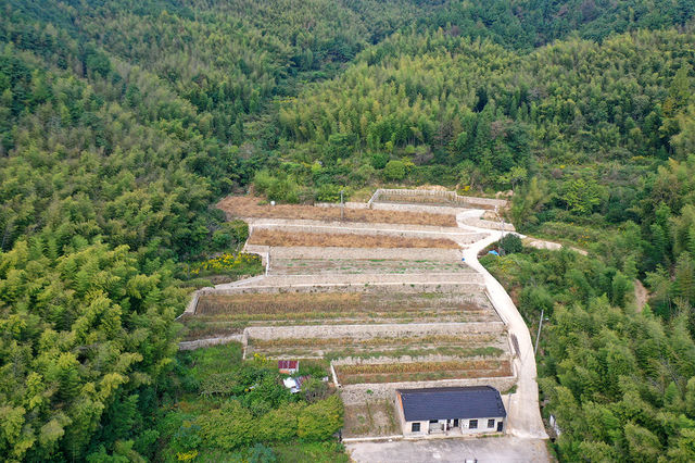 很有意思的村莊，豬頭嶺村？消失的世外桃源