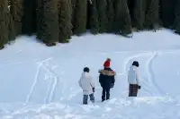 新疆伊犁的冬天,從瓊庫什台到庫爾德寧