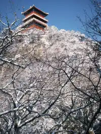 雪落終南｜南五臺初雪徒步攻略 美到窒息
