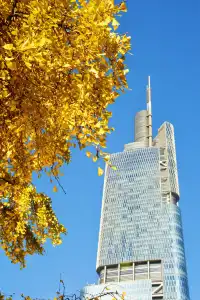 南京鼓樓公園銀杏｜紅牆光影+古今同框