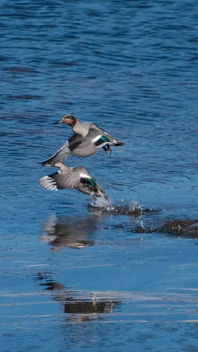 11.18的普達措很藍