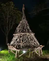 東京賞秋必看—昭和紀念公園銀杏燈光秀攻略