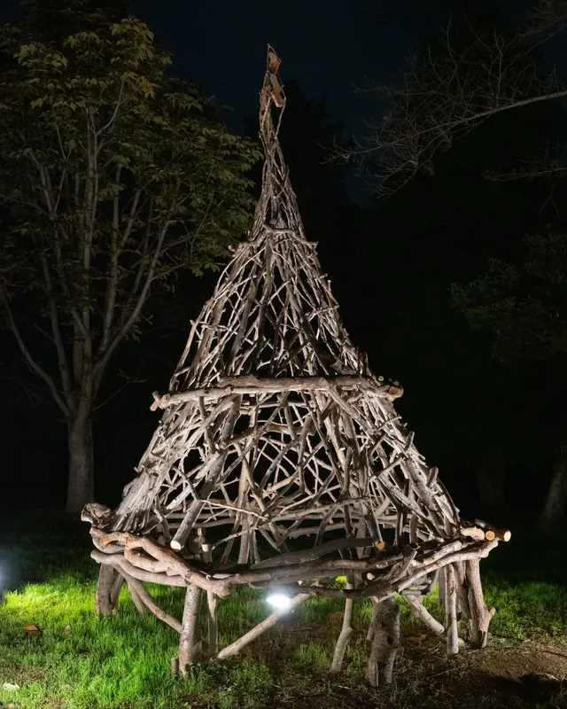 東京賞秋必看—昭和紀念公園銀杏燈光秀攻略