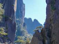 三清山血淚省力攻略｜攬五嶽之秀，藏絕景於此