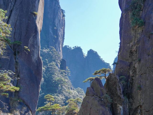 三清山血淚省力攻略｜攬五嶽之秀，藏絕景於此