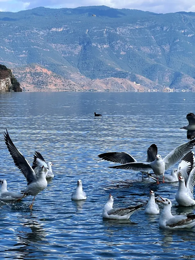 秋冬季遊瀘沽湖，人少景美性價比之王