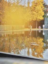 留住秋天的一百種方式