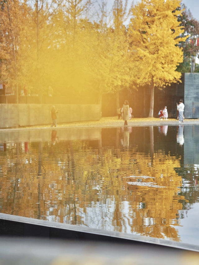 留住秋天的一百種方式