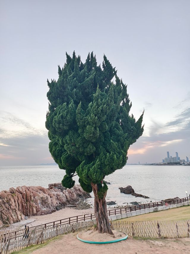 青島旅遊!刷爆朋友圈的12個免費機位 青島旅遊!刷爆朋友圈的12個免費機位