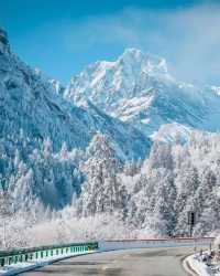 冬季治癒之旅，藏在私湯酒店裡的雪山禪意
