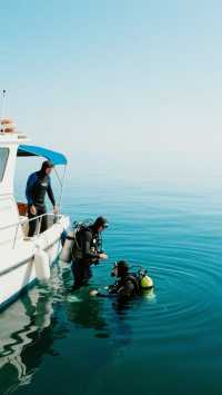 蘇梅島潛水，與魔鬼魚共舞！