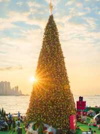 Hong Kong Christmas Vibes Are NEXT LEVEL! 🎄 Must-Visit Trees + Insta-Ready Spots 📸