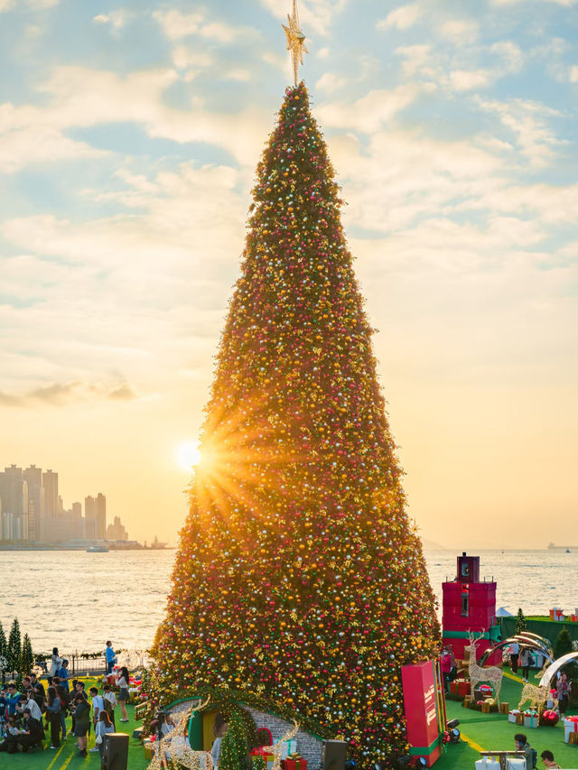 Hong Kong Christmas Vibes Are NEXT LEVEL! 🎄 Must-Visit Trees + Insta-Ready Spots 📸