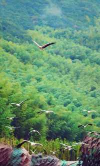 江南小眾寶藏!窯湖小鎮:千年陶文化遇上夢幻水秀