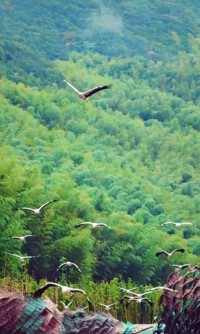 江南小眾寶藏!窯湖小鎮:千年陶文化遇上夢幻水秀 江南小眾寶藏!窯湖小鎮:千年陶文化遇上夢幻水秀