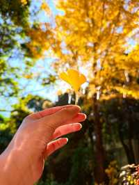 看了1000+麗江民宿,這家老錢風民宿成了我的白月光