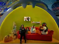 拜見 Pingu大王一起去極光冒險島