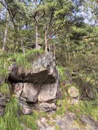 竹林寺∽廬山“空中佛國”！