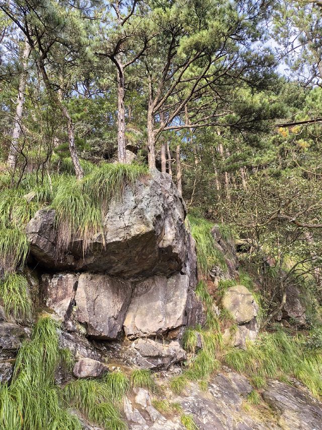 竹林寺∽廬山“空中佛國”！