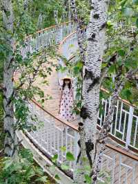 藍天白雲下的童話秘境內蒙古的森林草原童話