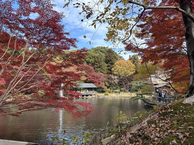 名古屋的秋東山 犬山 真的很好拍~ 名古屋的秋東山 犬山 真的很好拍~