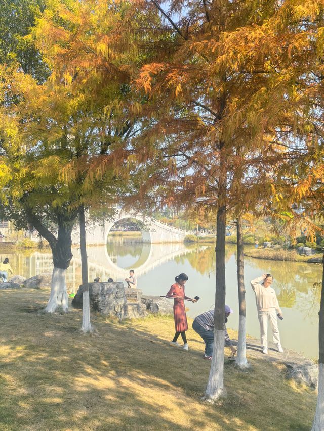 【韶關紅葉季】韶州公園漫步指南童話世界的調色盤在這裡! 【韶關紅葉季】韶州公園漫步指南童話世界的調色盤在這裡!