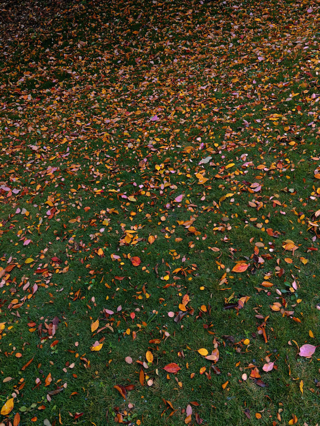登寥廓山,收藏一城秋色 | 曲靖風光與旅居指南 登寥廓山,收藏一城秋色 | 曲靖風光與旅居指南