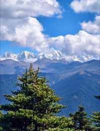 探秘西藏魯朗林海:來了就不想走的東方瑞士