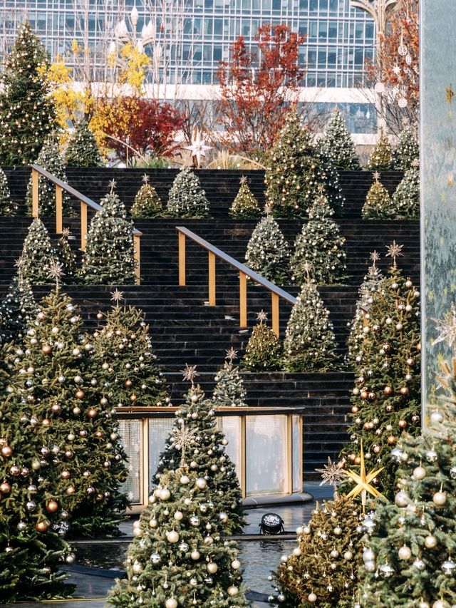 成都SKP聖誕封神地!100+聖誕真樹太絕了 成都SKP聖誕封神地!100+聖誕真樹太絕了